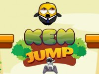 Sky Leap Arcade Adventure