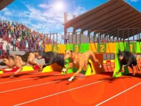 Dog Dash 3D: Arcade Runner