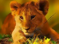 Baby Animal Jigsaw Puzzle