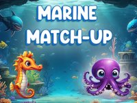 Ocean Match Puzzle