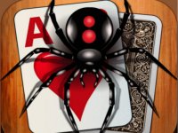 Spider Solitaire Card Puzzle