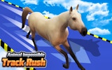 Animal Dash Parkour: 3D Runner