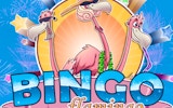 Flamingo Bingo Fun