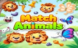 Animal Puzzle Match
