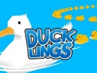 Pond Duckling Collection Quest