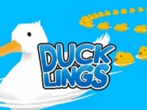 Pond Duckling Collection Quest