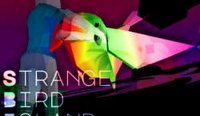 Strange Bird Island Mystery Arcade