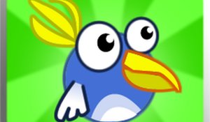 Fast Flapping Bird Online Game