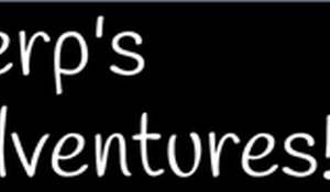 Derp's Adventures Online Game